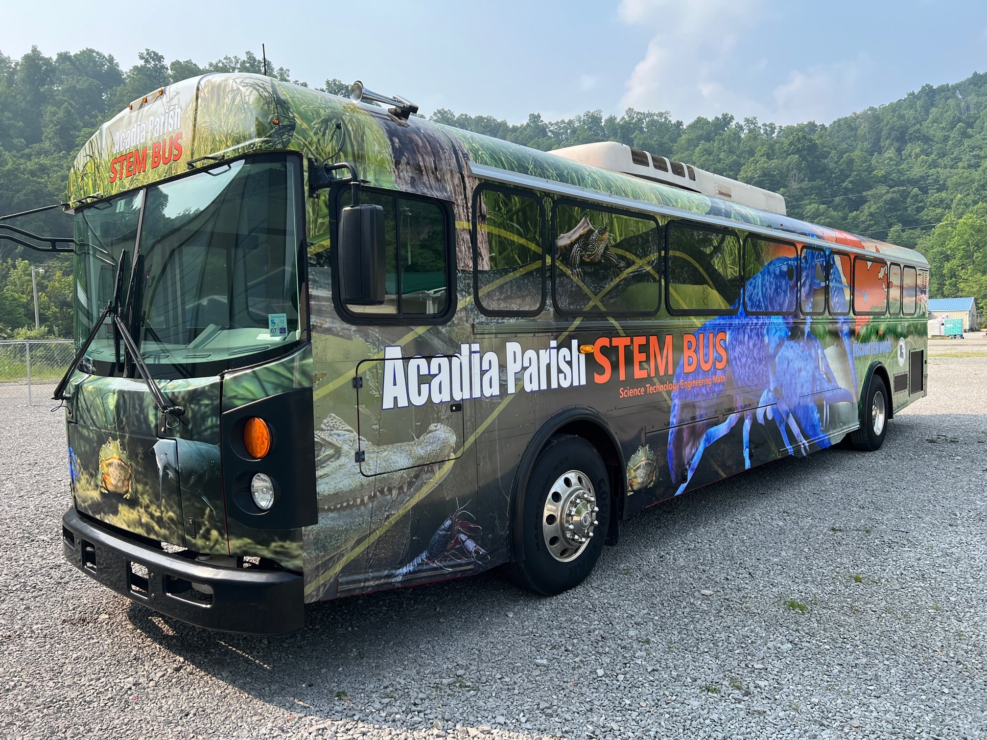 Vehicle Wraps